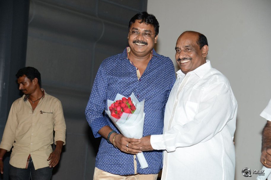 Seenugadi-Love-Story-Movie-Audio-Launch